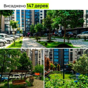 Озеленення в Паркова Алея, Івано-Франківськ — фото 3