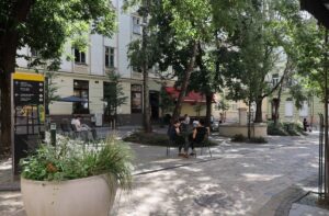 Різнотравна ділянка у Львові