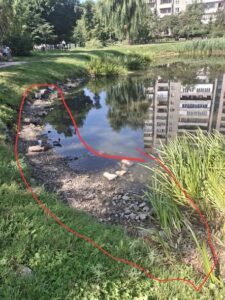 Стан водойми на вулиці Симоненка