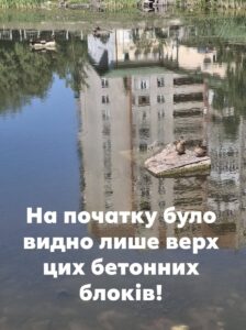 Фрагмент озера на Симоненка — замулення та рослинність